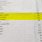 Laborbericht: Gelbe Markierung LDL